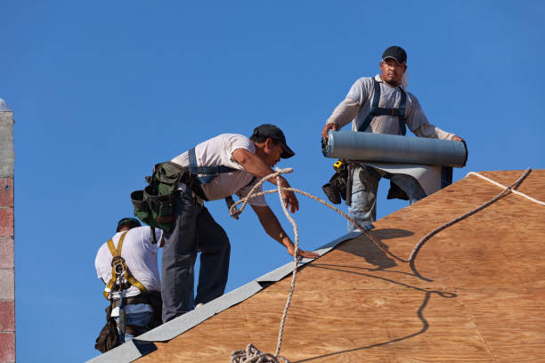 Best Gutter Installation and Roofing  in Redwood Valley, CA