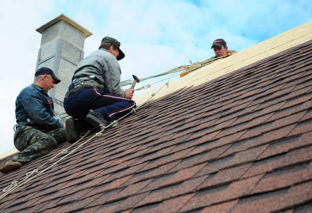 Best Emergency Roof Repair  in Redwood Valley, CA