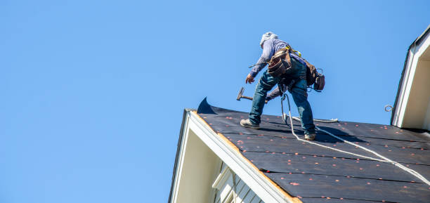 Best Roof Maintenance Services  in Redwood Valley, CA